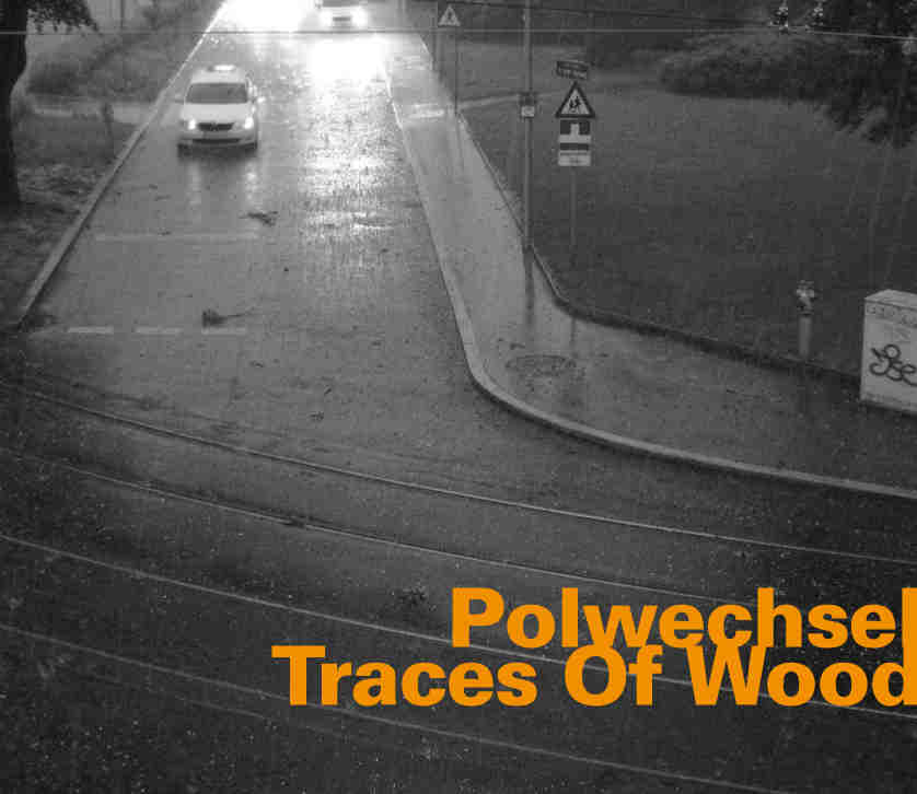 POLWECHSEL: TRACES OF WOOD - CoverBack