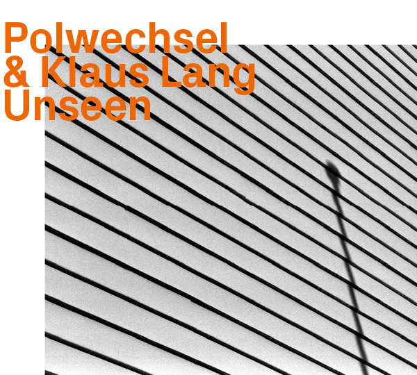 POLWECHSEL & KLAUS LANG: Unseen Cover
