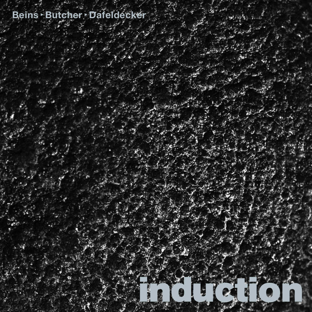 BURKHARD BEINS / JOHN BUTCHER / WERNER DAFELDECKER: Induction